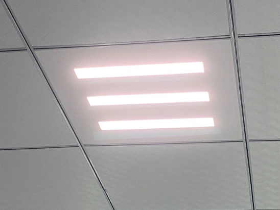 Diffuse Refelection 30X120 60W LED Panel Light for Ceiling Office with CE, CB