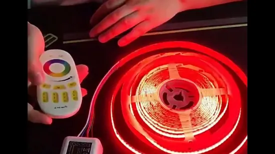 Wholesale Smart Dynamic Pixel RGBW Fob COB LED Strip DC24V 12mm 630LED